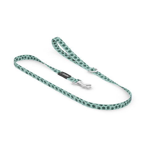 Dog Leash – Frog