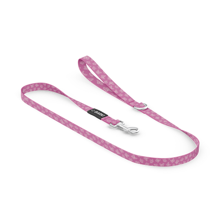 Laisse pour chien Papillon