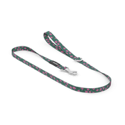 Laisse pour chien Vert Fleuris
