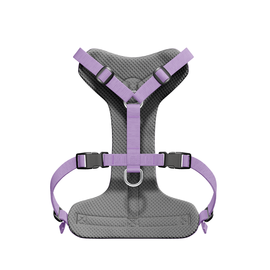 Harnais Barki Mauve – côté mesh respirant
