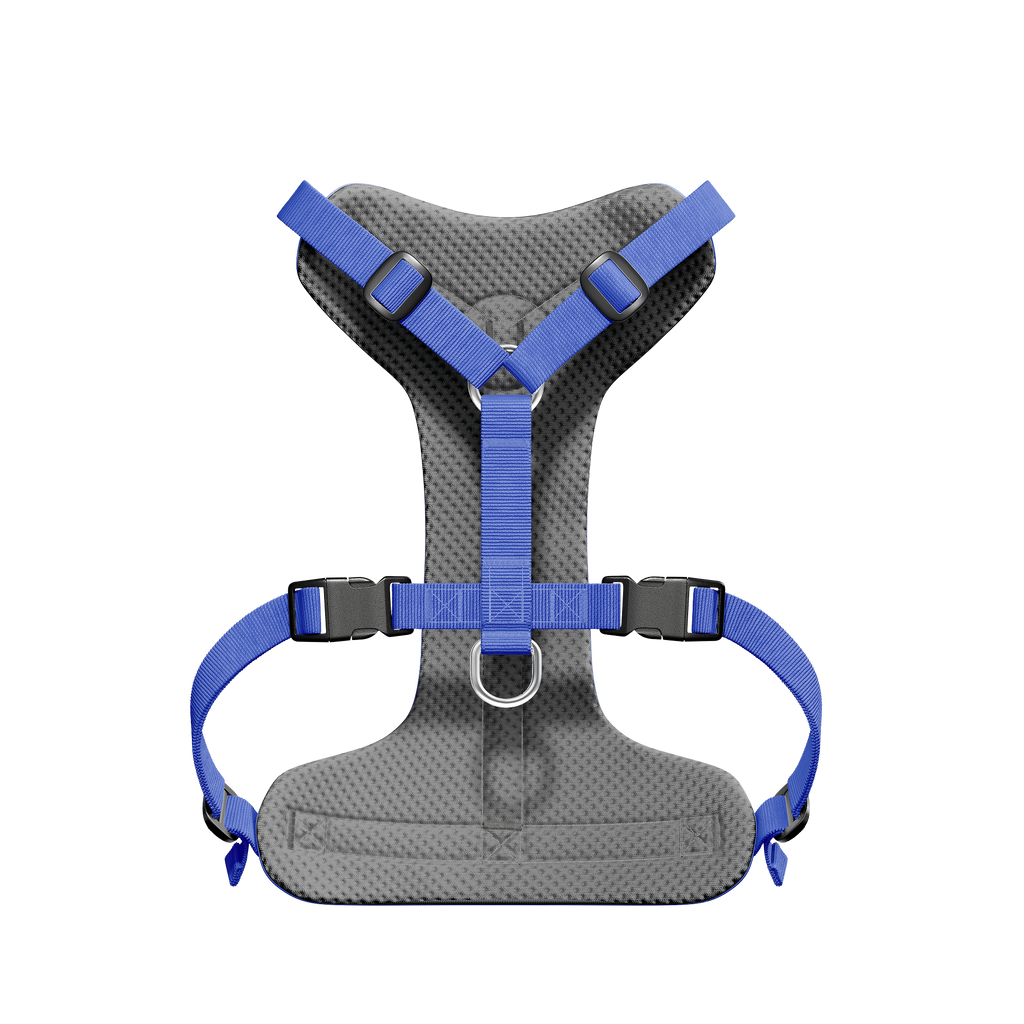 Harnais Barki Bleu – côté mesh respirant