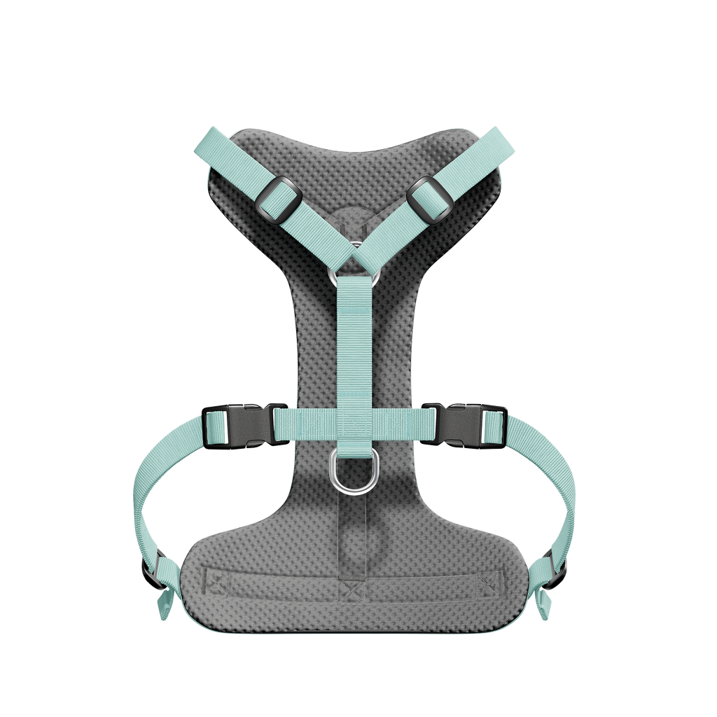 Barki harness in aqua – breathable mesh side