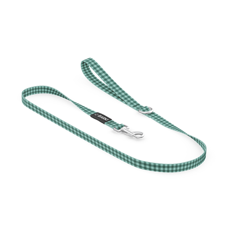 Laisse pour chien Carreaux vert