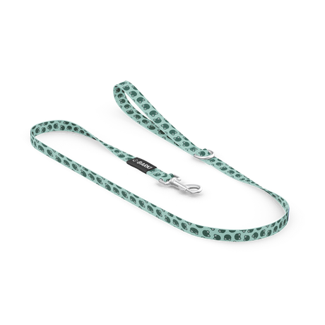 Laisse pour chien Grenouille