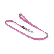 Laisse pour chien Papillon