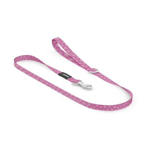Laisse pour chien Papillon