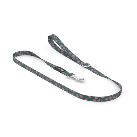 Laisse pour chien Vert Fleuris