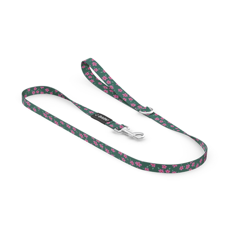 Laisse pour chien Vert Fleuris